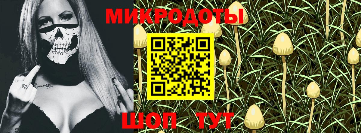 Псилоцибиновые грибы GOLDEN TEACHER  Вход с VPN  Нерюнгри 