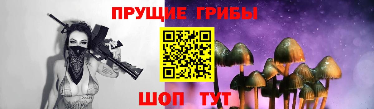 Псилоцибиновые грибы мицелий Нерюнгри